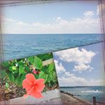 Profile Picture of トウマ ツグヨシ (@toumatsuguyoshi) on Instagram