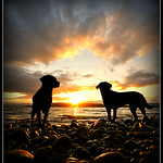 Profile Picture of Scott Watson (@scott170bhp) on Flickr