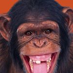 Profile Picture of Xavier Aranda (@arandaxavier) on Instagram