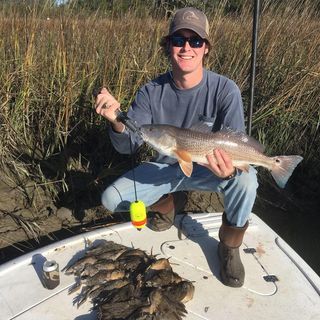 Profile Picture of Thomas Purcell (@pur_chill) on Instagram