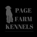 Profile Picture of Micah Page (@pagefarmkennels) on Instagram