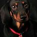 Profile Picture of Eunice Marsh (@eunice.marsh.5) on Facebook