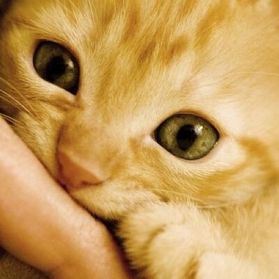 Profile Picture of Joe Oxley (@OxleyJoe) on Twitter