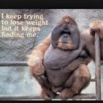 Profile Picture of Josephrositano (@josephrositano1706) on Instagram