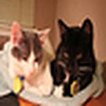 Profile Picture of Ning Lin (@Ning Lin) on Flickr