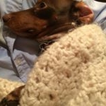 Profile Picture of Virginia Cates (@virginia.cates.31) on Instagram