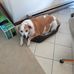 Profile Picture of David Stradley (@david.stradley.754) on Facebook