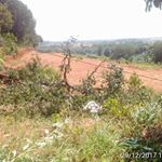 Profile Picture of Chandra Lopez Chandra Lopez (@chandralopezchandralopez) on Instagram