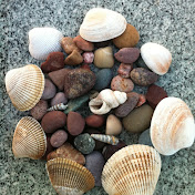 Profile Picture of Chad Squires (@chadsquires4313) on Youtube