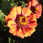 Profile Picture of Simply Sky Photography (@simply sky photography) on Flickr