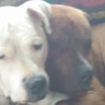 Profile Picture of David Raven (@daveraven12) on Instagram