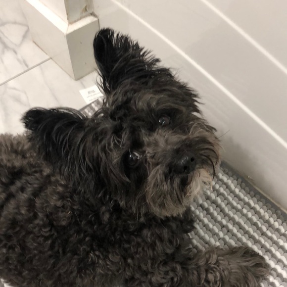 Profile Picture of Joel Amador (@nissa2005) on Poshmark