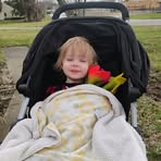 Profile Picture of Lois Carole Tucker (@Lois-Carole-Tucker) on Facebook