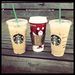 Profile Picture of Nikki Cheyne Blumer (@blumern) on Pinterest