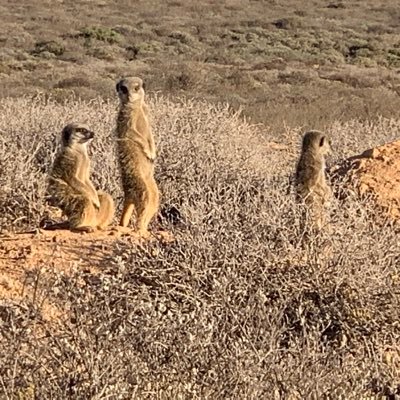 Profile Picture of Andy Nevett (@Freedom_FP) on Twitter