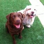 Profile Picture of Janet Leggett (@leggettjanet) on Instagram