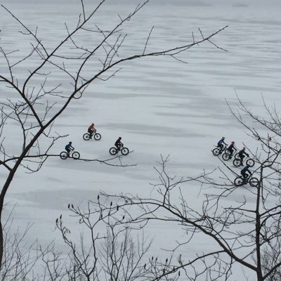 Profile Picture of Craig Laing (@CraigTLaing) on Twitter