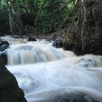 Profile Picture of Debra McDowell (@mrsmcdowellsartroom) on Instagram