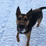 Profile Picture of Taylor Mackinnon (@taylormack7) on Instagram