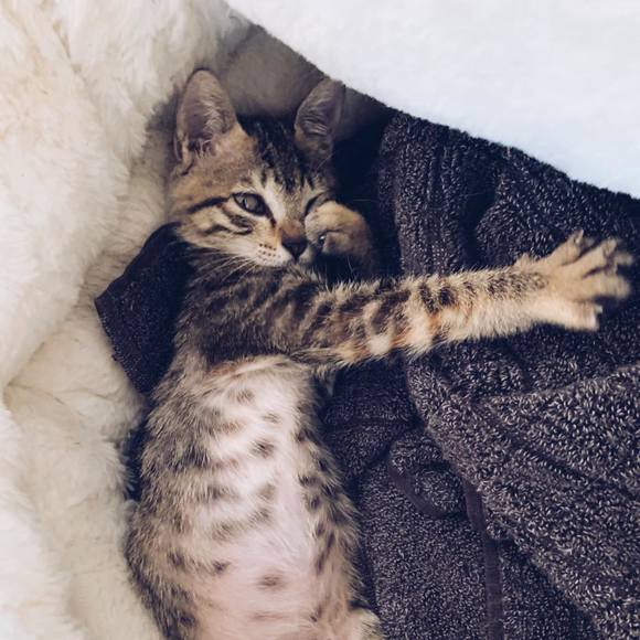 Profile Picture of Allen Long (@allen4m) on Poshmark