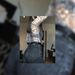 Profile Picture of Laura Gimpel (@gimpellaura) on Pinterest