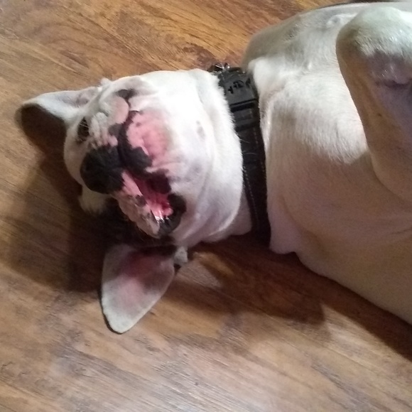 Profile Picture of Janet Canaday (@turtlefun) on Poshmark