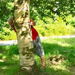 Profile Picture of Graham Hodgson (@hodgycornwall) on Instagram