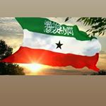 Profile Picture of my realy name ayan ahmed egal (@azhkariita) on Instagram