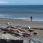 Profile Picture of David Randall DePew (@randy_depew696) on Instagram