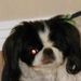 Profile Picture of Marsena Thomas (@marsenaj) on Pinterest