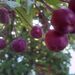 Profile Picture of Brian Metras (@bmetras0081) on Pinterest