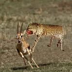 Profile Picture of Nick DE Nardo (@nick.DE.Nardo1224) on Facebook