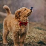 Profile Picture of Gary-Wilfred (@gary_wilfred55) on Instagram