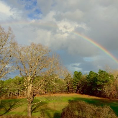 Profile Picture of Bradley Wilburn (@bradleywilburn) on Twitter