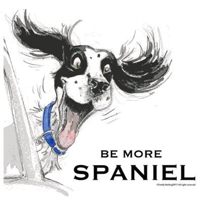 Profile Picture of Sally-Anne Haynes (@bemorespaniel) on Twitter