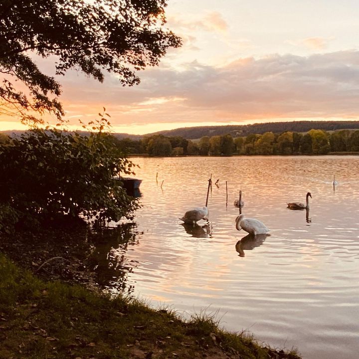 Daniel Duft - Tiktok Profile Picture of Daniel Duft (@danielduft) on Tiktok