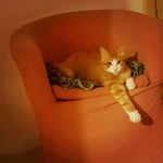 Profile Picture of Fortunato (@luckyguy183) on Instagram