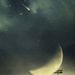 Profile Picture of Preston Headrick (@headrick0042) on Pinterest