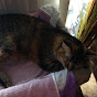 Profile Picture of Julianne Fitzpatrick (@@Julianne1117) on Tiktok