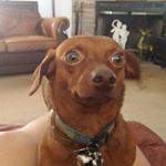 Profile Picture of shyan prather (@dorisprather) on Instagram