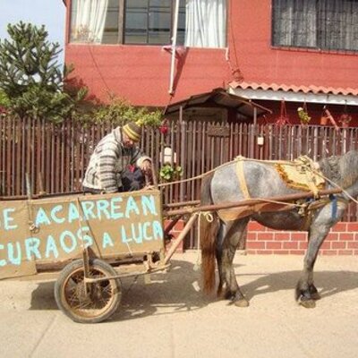 Profile Picture of Pamelaota (@pamelaota1) on Twitter