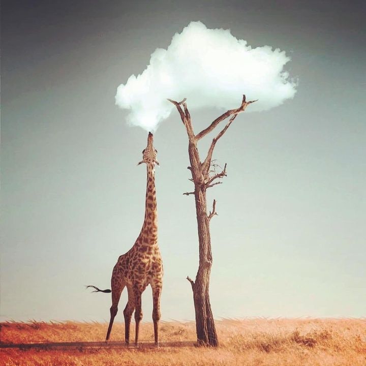 Profile Picture of KennethSimpson (@kennethsimpsonbooobyd) on Tiktok