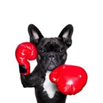 Profile Picture of Julian Medrano (@juliannmh_) on Instagram