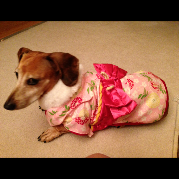 Profile Picture of Sachie Fazzone (@shinyon) on Poshmark