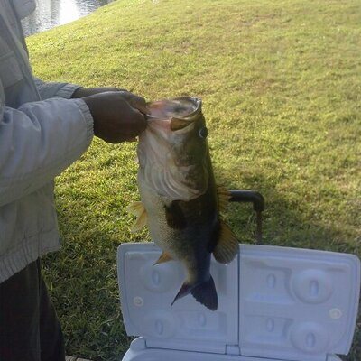 Profile Picture of Abraham Mclaughlin (@abrahammclaugh2) on Twitter