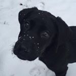 Profile Picture of Hunter (@little_big_guy_hunter) on Instagram