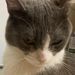 Profile Picture of jimmy (@apple_p1e) on Pinterest