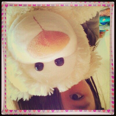 Profile Picture of Tong Zheng (@meow_tong761) on Twitter
