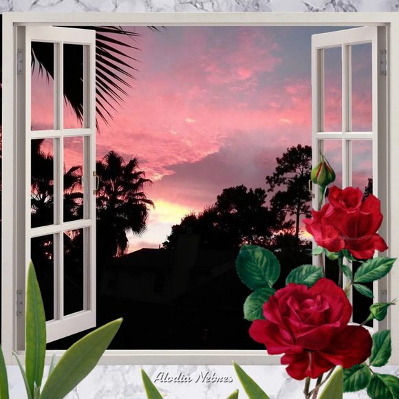 Profile Picture of Martha Reid (@martha0510) on Poshmark