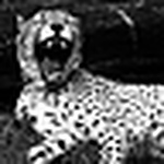 Profile Picture of Brian Johnston (@brian.johnston1) on Flickr